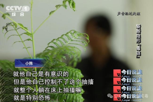 一次“时髦”尝试 换来生活不能自理 上瘾伤身后悔莫及