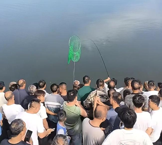 七旬大爷钓到50多斤大鱼遛鱼4小时 上百人围观壮观场面
