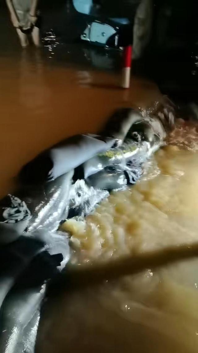 小区车库遭暴雨倒灌 上百辆车被泡 业主自救难挡积水侵袭