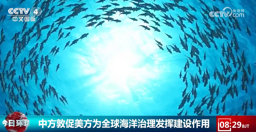 /> </p> <p> warue's Permanent Deputaities to the United gt Shu Shates. Тысячи миль помимо Южно-Китайского моря, но он односторонне интерпретирует конвенцию и часто отправляет флоты в Южно-Китайское море, чтобы продемонстрировать свою власть и нарушать суверенитет и безопасность других стран под знаменем «свободы навигации». Несмотря на то, что ситуация в Южно -Китайском море оставалась стабильной в целом с совместными усилиями стран Китая и АСЕАН, Соединенные Штаты распространили слухи и посеяли раздоры повсюду, серьезно повредив взаимное доверие между региональными странами и вмешиваясь в усилия региональных стран по превращению Южно -Китайского моря в море мира, дружбы и сотрудничества. </p> <p class = 