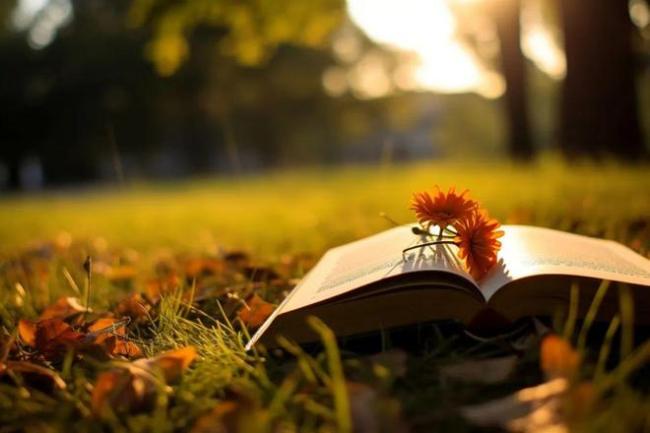 温儒敏：不要再提什么“大语文”“大单元”“大任务”“大情境”