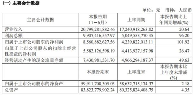 （来源：药明康德2025年中报）