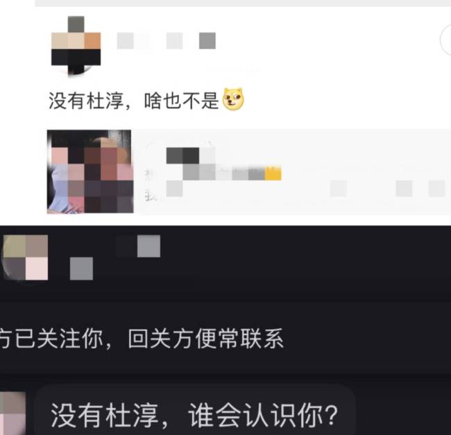 王灿回应“杜淳老婆”标签光环:借了点他的光