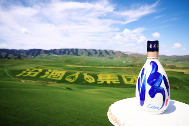 五载粮心路,一部品质史:汾酒第一车间深入新疆奇台!