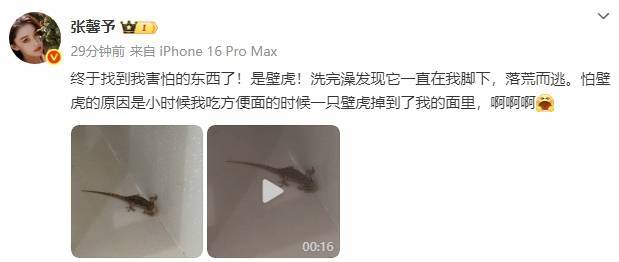 张馨予洗完澡被壁虎吓得落荒而逃!曝光浴室照