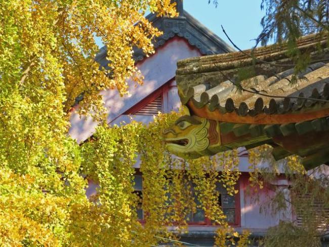 211大学招聘没编制，两个女生找不到工作，护理学本科不好就业？