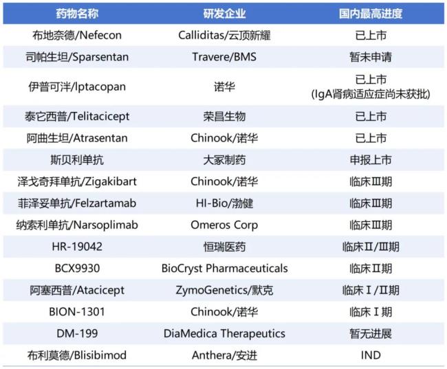 全球及国内IgA肾病管线(部分)
