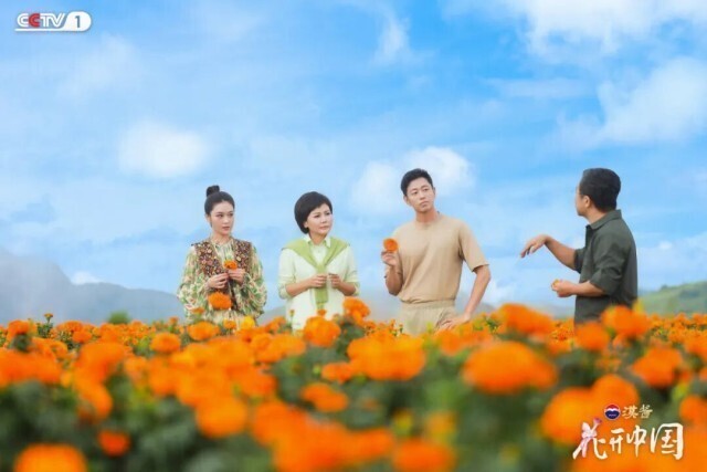 滇南花开红河岸,探寻“一朵花”的中国式浪漫