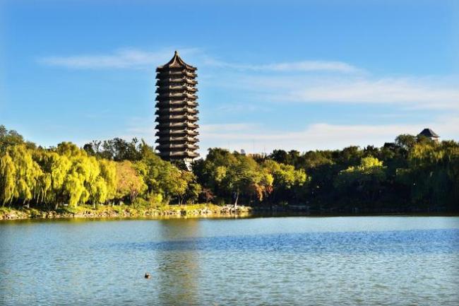 2025年985高校保研率排名：中科大第三浙大第十一，前十名是谁？