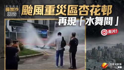 樺加沙襲港│（有片）颱風重災區杏花邨現「水舞間」