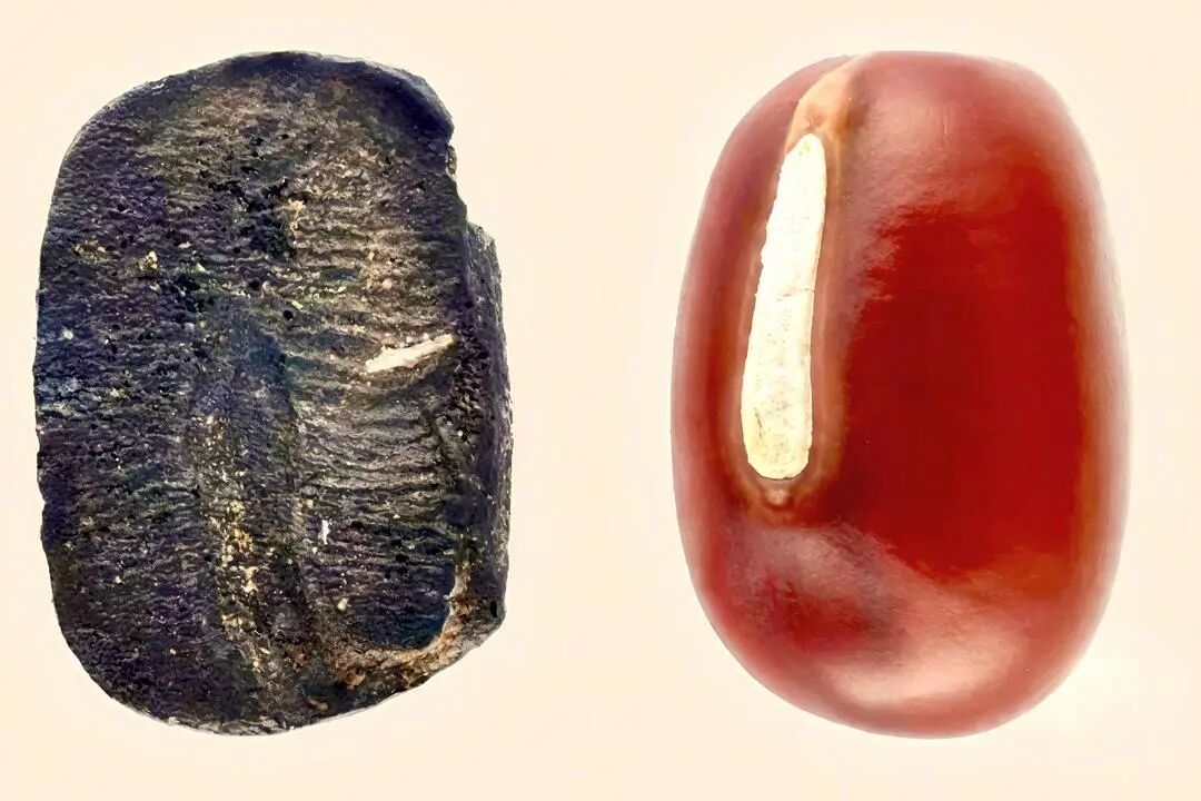 1tRsGJ6Jk2ibssWUFPyulOP0A4Y8UWvicVVq6y4040lswwm0EvMiaKgPAsXjb5baAts96p8BLDO8ibI3 ic1oazvicrGw.jpg