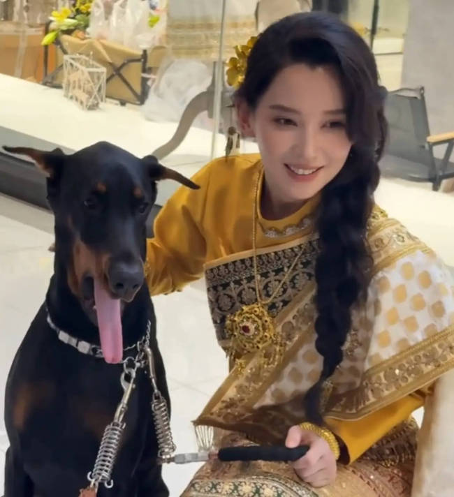森林北否认参与网传投资项目: 已聘请律师维权