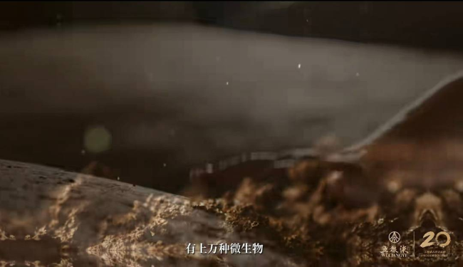 中国烹饪大师“寻香”元明古窖池群,探寻五粮液“大国浓香”密码