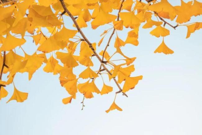 恕我直言，老师最浪费课堂时间的四个表现