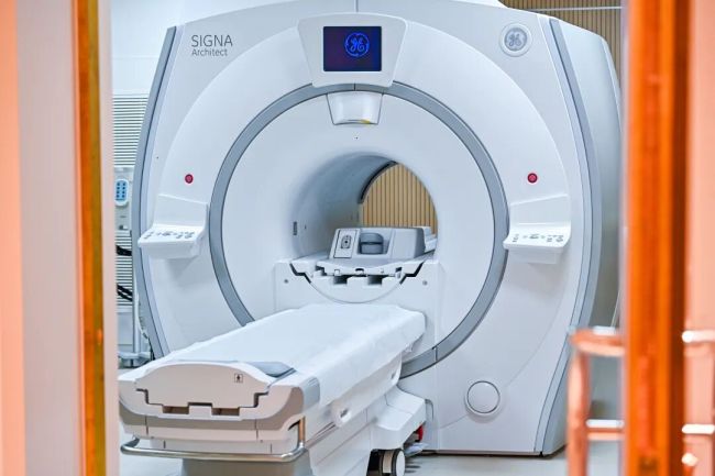 图片来源:受访者供图