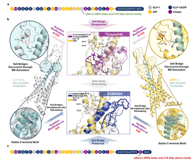 图2.BGM0504分子结构；图片来源：www.nature.com/scientificreports