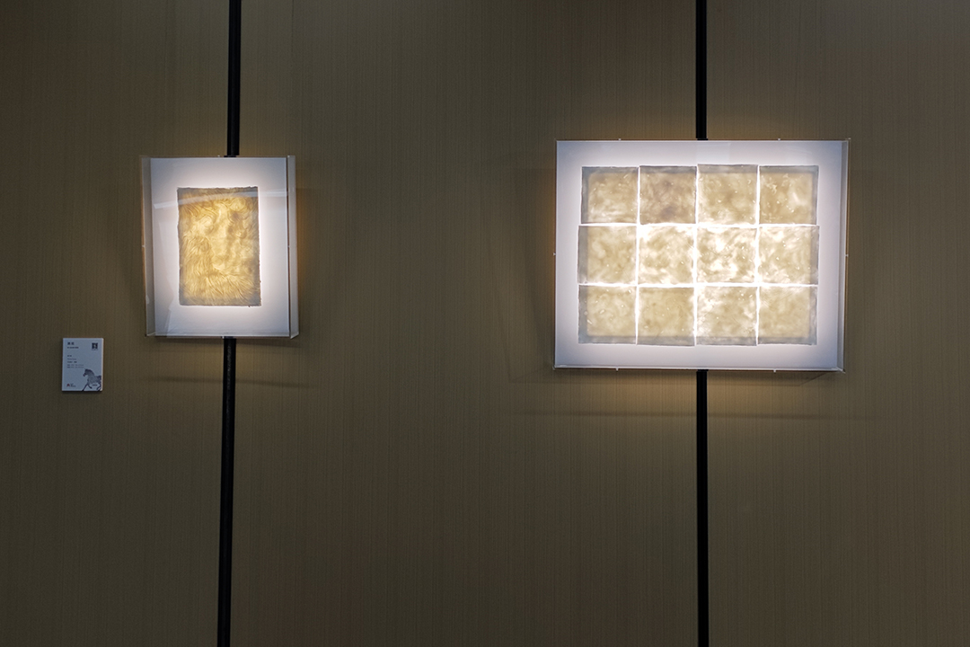 《溯·观》黄子桐