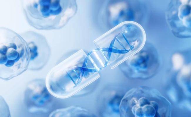 红杉、高毅等机构扎堆调研,贝达药业创新实力究竟如何?