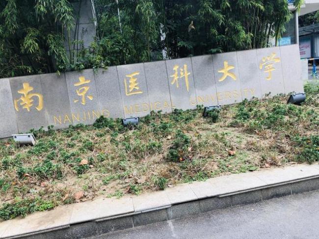 2026年高考录取:哪些考生实现低分高录?又为何出现高分低录?
