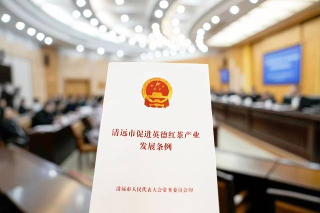 法治护航，让品牌之路行稳致远。2026年2月1日，《清远市促进英德红茶产业发展条例》正式施行。