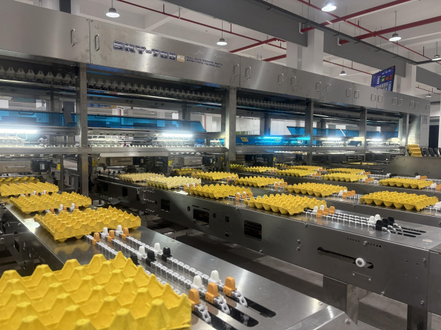 深圳乘乘集团凭借掌握的海量行业数据，搭建每日百城蛋价系统，不断提升蛋品“含智量”，供需商机撮合效率提高了10倍以上。