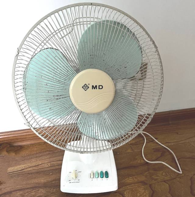 从推出新中国第一台全塑台扇，生产第一台全自动洗衣机，美的集团旗下的美的、小天鹅成为国民品牌，在众多中国家庭中扮演着重要角色。