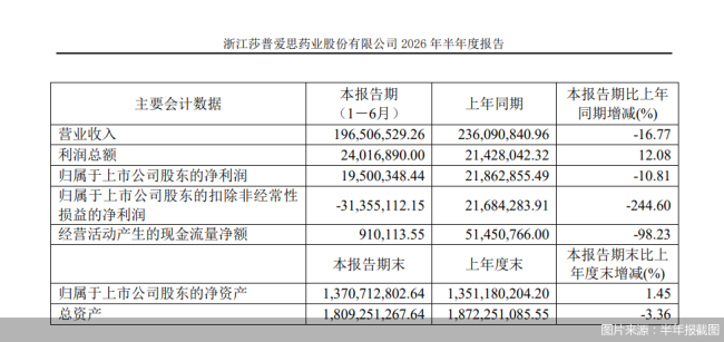图片来源:半年报截图