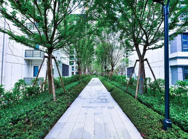 微信截图_20240513160819.png