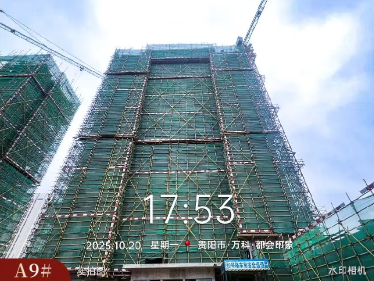 ScreenShot_2025-11-03_093303_652.png