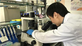聚焦家电、水质等项目 2025年国际检验检测能力验证工作完成