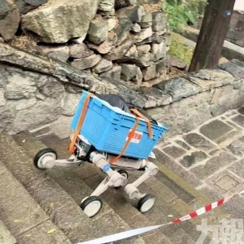 機器人登泰山大賽開跑