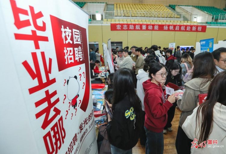 精准送岗是助力，能力素养是底气